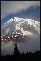 Mountain emerging from clouds. Mount Rainier National Park, Washington, USA.