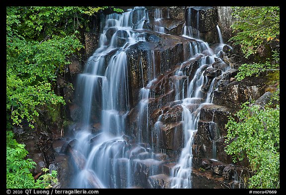 Waterfall over volcanic rock, Stevens Canyon. Mount Rainier National Park, Washington, USA.