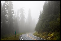 Road in fog. Mount Rainier National Park, Washington, USA.