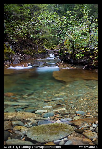 Water flowing in Panther Creek. Mount Rainier National Park (color)