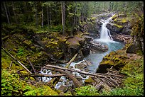 Silver Falls of the Ohanapecosh River. Mount Rainier National Park, Washington, USA.