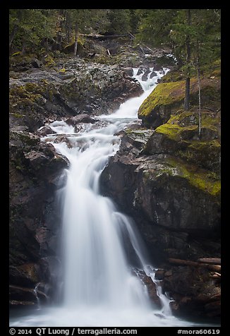 Silver Falls. Mount Rainier National Park, Washington, USA.