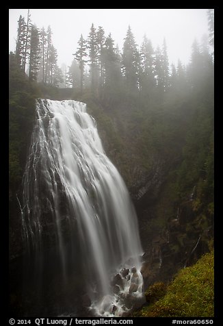 Narada Falls in the fog. Mount Rainier National Park, Washington, USA.