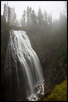 Narada Falls in the fog. Mount Rainier National Park, Washington, USA.