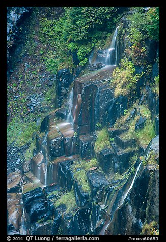Cascades over columns of basalt, Narada Falls. Mount Rainier National Park (color)