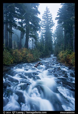 Stream on its way to Narada Falls. Mount Rainier National Park (color)