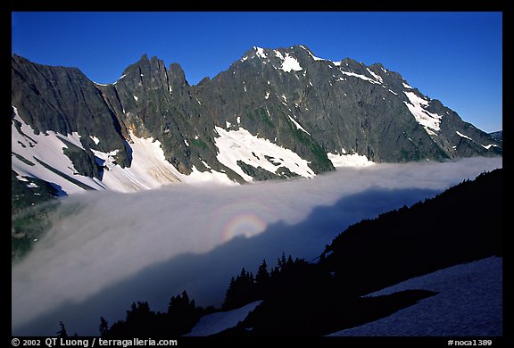 Sun projected on fog below peaks, early morning, Cascade Pass area, North Cascades National Park. Washington, USA.
