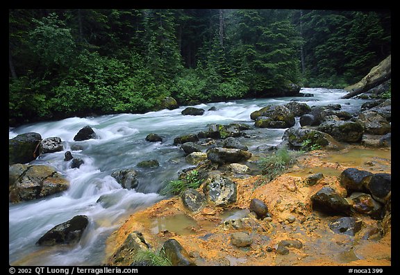 Creek near Kennedy hot springs. North Cascades National Park (color)