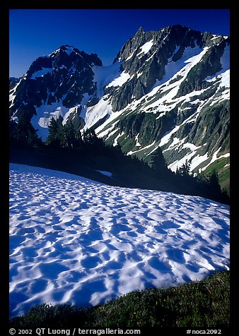 Late summer snow and peaks, Cascade Pass area, morning, North Cascades National Park. Washington, USA.