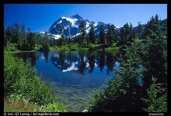 Mount Shuksan and Picture lake, mid-day. North Cascades National Park, Washington, USA.
