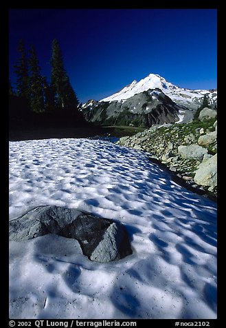 Late summer snow and Mount Baker, early morning. North Cascades National Park (color)