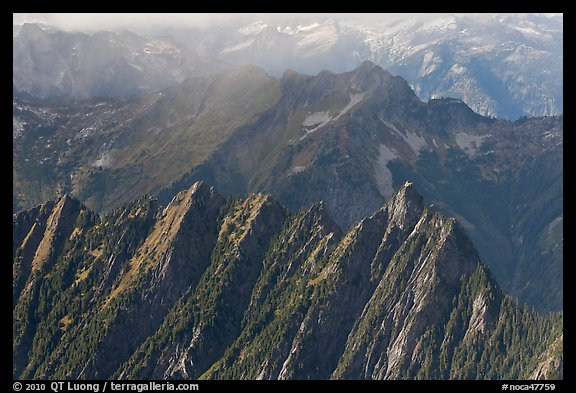 Steep forested spires in foggy light, North Cascades National Park. Washington, USA.