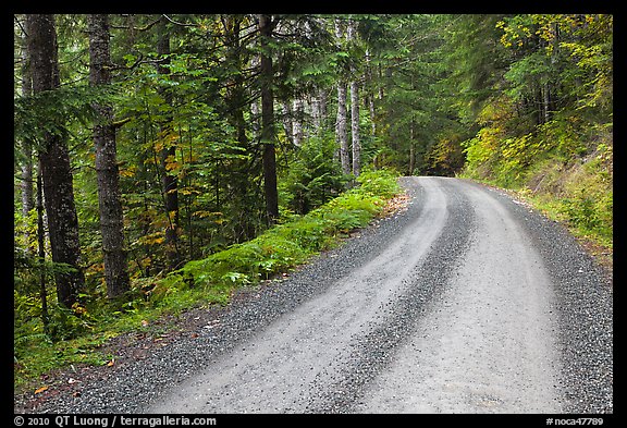 Cascade River Road, North Cascades National Park.  (color)