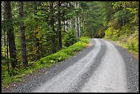 Cascade River Road, North Cascades National Park.  ( color)