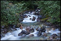 Sibley Creek, Mount Baker Snoqualmie National Forest. Washington