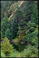 Skagit River gorge, North Cascades National Park Service Complex.  ( color)