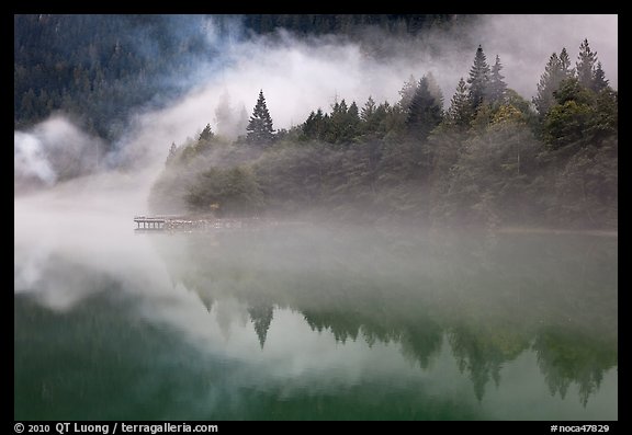 Fog trees, and pier, Diablo Lake, North Cascades National Park Service Complex. Washington, USA.