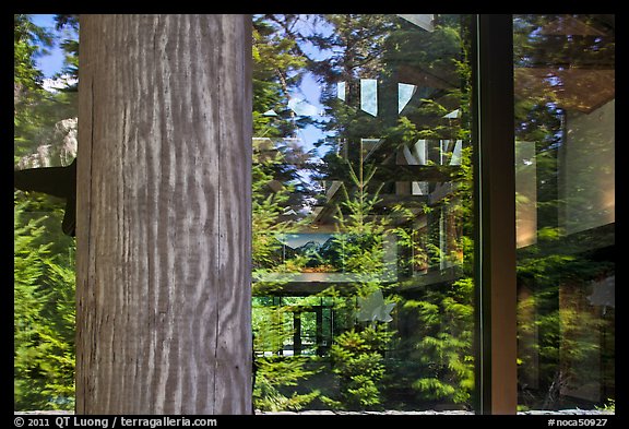 Forest, Visitor Center window reflexion, North Cascades National Park. Washington, USA.