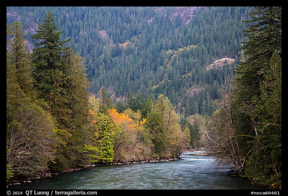 Skagit River in autumn, North Cascades National Park Service Complex.  (color)