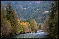 Skagit River in autumn, North Cascades National Park Service Complex.  ( color)