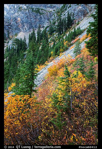 Steep slopes in autumn, North Cascades National Park Service Complex.  (color)