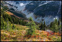 Fisher Creek Basin valley, North Cascades National Park. Washington, USA.