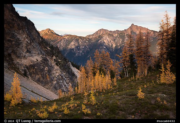 Visitor looking, Easy Pass, North Cascades National Park.  (color)