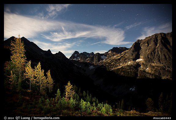 Larch trees and Fisher Creek cirque at night, North Cascades National Park. Washington, USA.