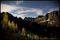 Larch trees and Fisher Creek cirque at night, North Cascades National Park.  ( color)