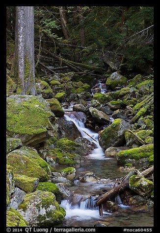 Creek with mossy boulders, North Cascades National Park Service Complex. Washington, USA.
