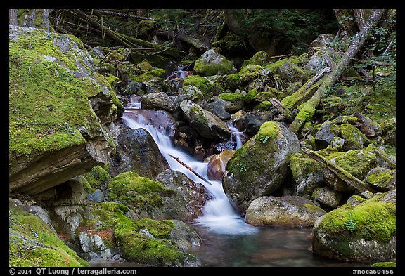 Creek flowing over mossy rocks, North Cascades National Park Service Complex. Washington, USA.