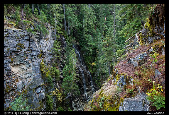 Waterfall, Agnes Gorge, Glacier Peak Wilderness.  (color)