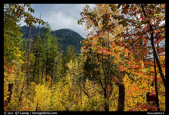 Autumn foliage and McGregor Mountain, North Cascades National Park.  (color)