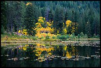 Autumn foliage reflected in Coon Lake, North Cascades National Park Service Complex. Washington, USA.