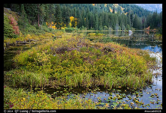 Coon Lake in the fall, North Cascades National Park Service Complex. Washington, USA.