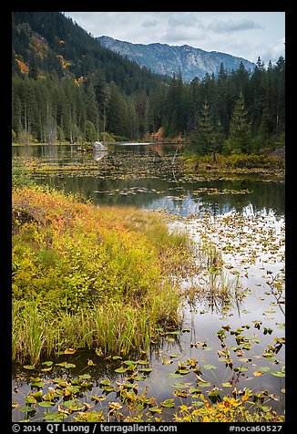Mountains reflected in Coon Lake in autumn, North Cascades National Park Service Complex.  (color)