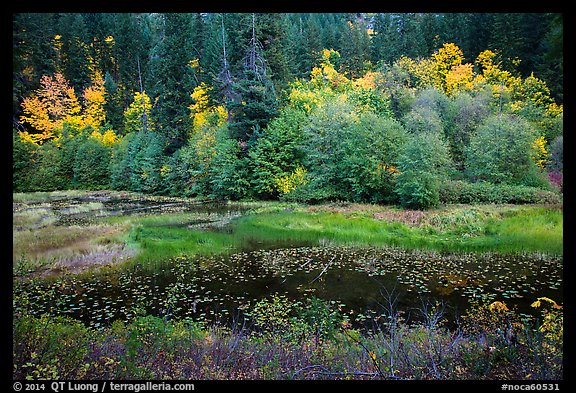 Pond in autumn, North Cascades National Park Service Complex.  (color)
