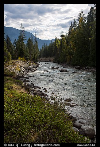 Stehekin River flows in Stehekin Valley, North Cascades National Park Service Complex.  (color)