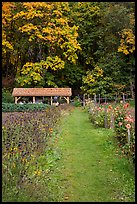 Organic garden, Stehekin, North Cascades National Park Service Complex.  ( color)