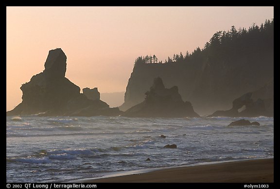 Sea stacks and arch on Shi-Shi Beach. Olympic National Park, Washington, USA.