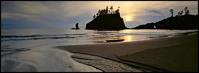 Stream and beach at sunset. Olympic National Park (Panoramic color)