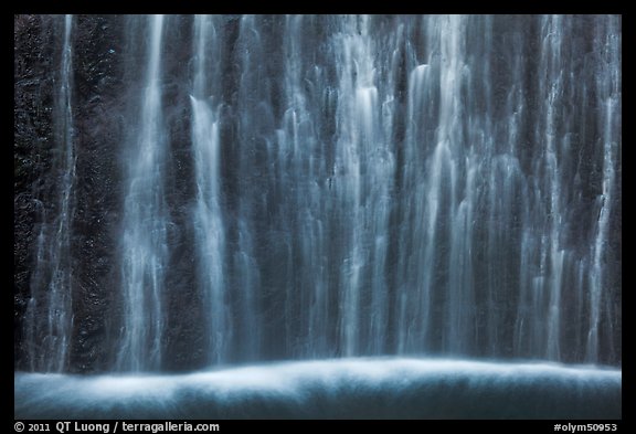 Ethereal waters, base of Marymere Fall. Olympic National Park, Washington, USA.