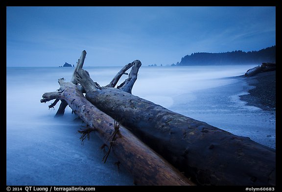 Driftwood and wave motion at dusk, Rialto Beach. Olympic National Park (color)