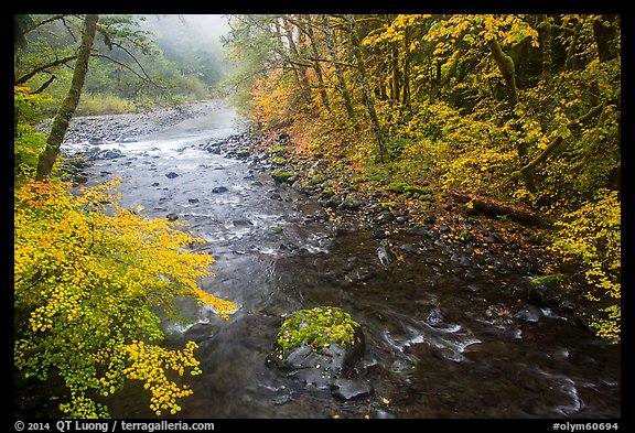 Confluence of North Fork and Sol Duc River in autumn. Olympic National Park, Washington, USA.