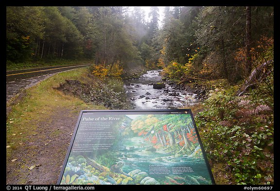 Sol Duc River interpretive sign. Olympic National Park (color)