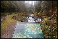 Sol Duc River interpretive sign. Olympic National Park, Washington, USA.