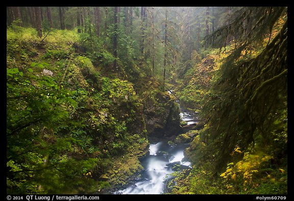 Gorge of Sol Duc River in autumn. Olympic National Park, Washington, USA.