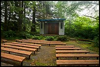 Amphitheater, Mora Campground. Olympic National Park, Washington, USA.