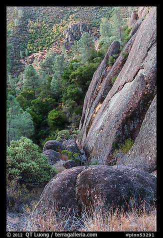 Cliff and Mediterranean chaparral. Pinnacles National Park (color)