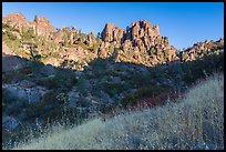 Summer grasses and pinnacles, early morning. Pinnacles National Park, California, USA. (color)